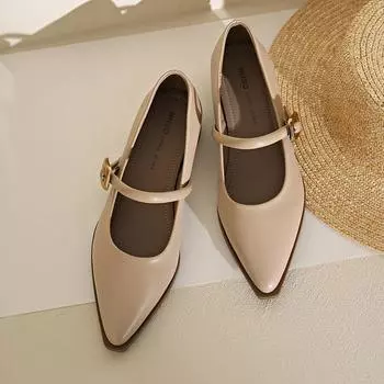 Flat-pointed One-line Buckle Mary Jane Shoes Women 2024 Spring New Retro All-match Fashion Shoes 34