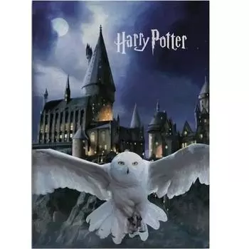 Флисовое одеяло Harry Potter 100 x 140 - плед Harry Potter