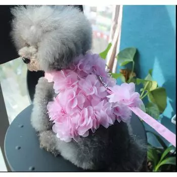 Flower cat leash dog cat pet chest strap walking dog spring summer breathable dog supplies vest outdoor M (recommended 6-4.5kg)