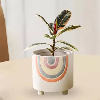 Цветочный горшок легкий бонсай садовый подарок настольное украшение книжная полка декор радужное кашпо Small