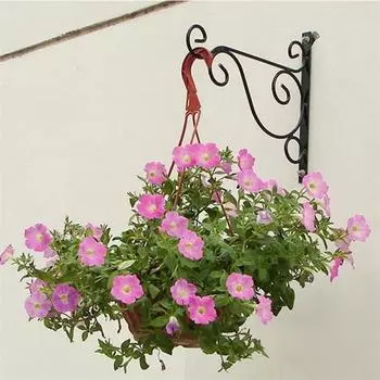 Flower Pot Shelf Stand Holder Garden Wall Light Iron Hanging Flower Plant Pot Bracket Hook Shelf Hanger Household Door Decor чёрный