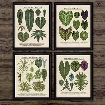 Foliage Anthurium Colocasia Alocasia Plants Canvas Painting Leaf Poster Wall Art for Living Room Decoration Home Decor Pictur 21cm30cm NoFrame