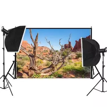 Фон из ткани с темой «Природный пейзаж», Пустыня Гоби, Кактус, Ткань для фона для мероприятий в помещении и на открытом воздухе для вечеринок и декора, Декор в пустынной тематике 150x100cm