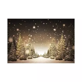 Фон на тему «Зимняя сказка», Рождественский фотофон, для вечеринок и праздничных фотосессий, Фотостудия 100x150cm