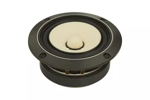 FOSTEX 10 см конусный полнодиапазонный блок (1 единица) FE108-Соль