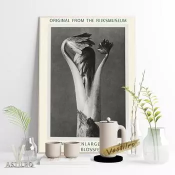 Фотография растений, черно-белый постер, увеличенный художественный принт, настенная живопись, ботаника, образование, украшение стены 21cm30cm NoFrame