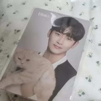 Фотокарточка Динто Ким Су Хёна