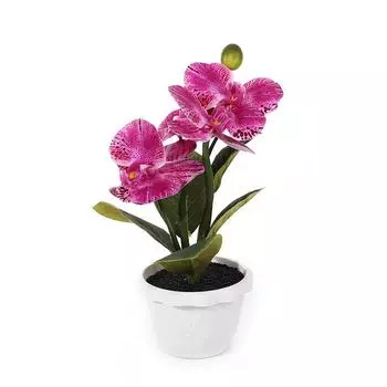 Four Flower Simulated Spotted Striped Phalaenopsis Artificial Bonsai Room Decor Deep Purple
