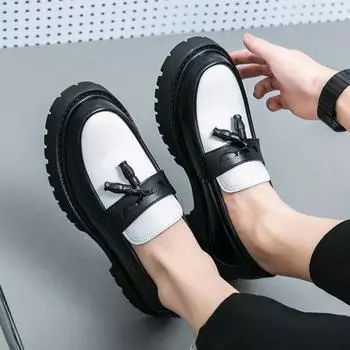 Four Seasons New Men s Low-top Thick-soled Height-increasing Leather Shoes Korean Version Contrasting Color Tassel Casual Fashion Youth Men s Shoes 38