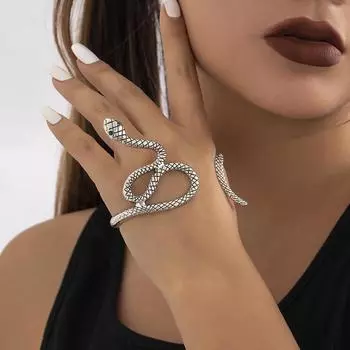 Foxanry Змеиный геометрический браслет для женщин, пары, модные креативные преувеличенные вечерние ювелирные изделия, подарки 18cm серебряный