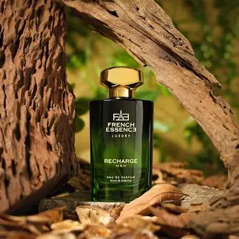 FRENCH ESSENCE Премиум-аэрозольные духи для мужчин/элитные духи/набор парфюмированной воды, стойкий запах, подарочное назначение, мускусная парфюмерная вода 60ML