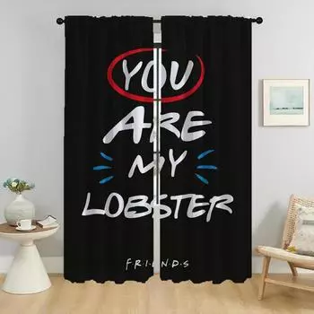 Friends Kitchen Curtains for Camera Living Room Curtain Home Interior Curtains 2 Pieces Shades Tulle for Bedroom Partition Child W50xH70cmx2pcs-CL