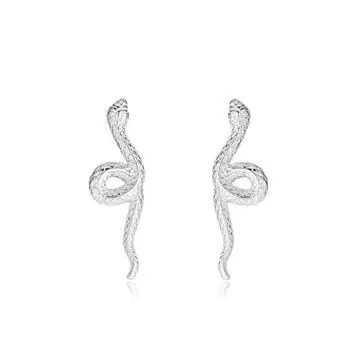 Frosty Style Niche Design Inspiration Серьги-змеи Серьги-змеи Мужской и женский стиль Прокалывание ушей Украшения для ушей