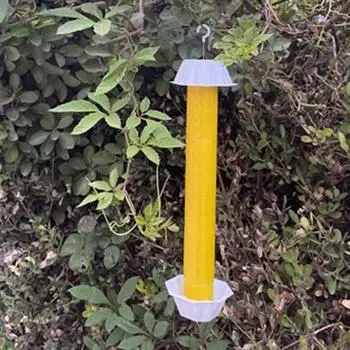 Фруктовая мушка с липким ловцом, мед, виноград, вязкость, сок, приманка, клей, прочная ловушка, ловушка, подвесной крючок для кухни