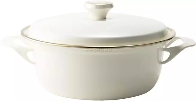 Fuji Enamel Double Handed Pot Casserole Enamel IH Compatible Cocotte with Lid 22cm Ivory EX Series IV EX-22W