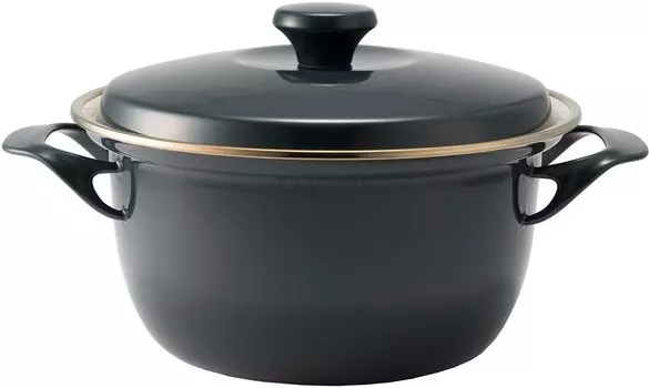 Fuji Enamel Double Handed Pot Casserole Enamel IH Compatible Cocotte with Lid 20cm Pains Gray EX Series CH EX-20W