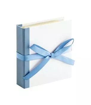 FUJIFILM instax mini instax альбом 20 (белый синий)