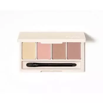 Fujiko Addition Palette 02 Deeply Carved Mauve Contents 5.5g Eye Shadow Matte Sheer No Discarded Color