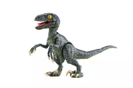 Fujimi Модель Бесплатная исследовательская серия Kyoryu Edition Velociraptor Цветная пластиковая модель Бесплатная исследовательская 3 № 3 Немасштабная