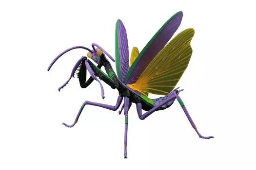 Fujimi Model Free Research Series 231 Evangelion Edition Giant Mantis Unit 01 Спецификация Free Нет. Исследование-231