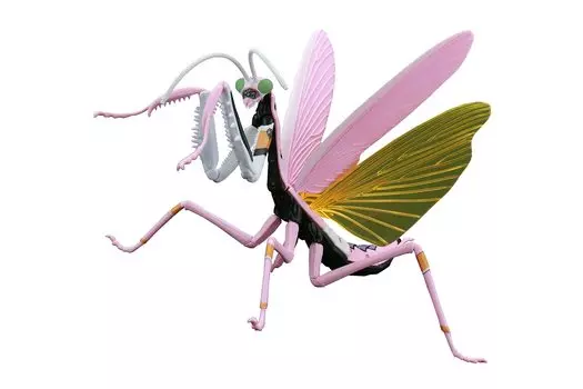 Fujimi Model Free Research Series 232 Evangelion Edition Giant Mantis Unit 8 Спецификация Free Нет. Исследование-232