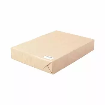 Fujisan Planning Copy Paper A3 Made in Japan Cardboard White Plain on Both Sides High Quality Paper 90kg Whiteness Paper Thickness 100 Sheets Thick