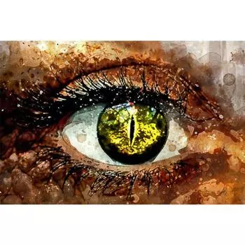Полная вышивка 5D DIY Eye Art Алмазная картина Вышивка крестом 20X30CM