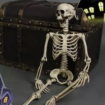 Full Life Size Home Evil Party Decoration Halloween Poseable Scary Movable Big Skull Party Ornament Toy 90CM Skeleton Toys Decor CHINA