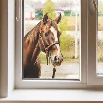 Fun-f37 Голова животного Конь Стеклянное окно Домашнее украшение Декоративная настенная наклейка УФ 24*38CM/fun-f37 uv
