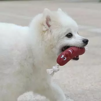 Funny Pet Dog Sausage Squeaky Toys for Pets Healthy Latex Dog Toys for Dog Wholsale Pet Toys Pet Supplies