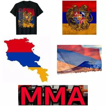 Футболка Armenia MMA Kick Boxing UFC Muay Thai с графическим флагом в стиле ретро, винтажная армянская символика, эмблема, принт, орел, лев, короткий рукав, круглый вырез XS