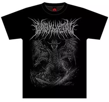 Футболка BABY METAL 2017 The Chosen Five Silver L