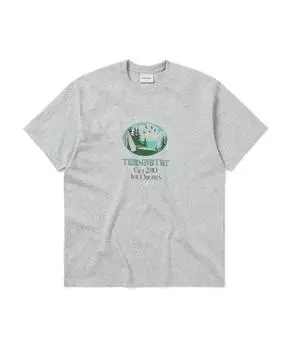 Футболка для пикника Thisisneverthat Heather Grey S