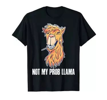 Футболка Not My Pro Brama