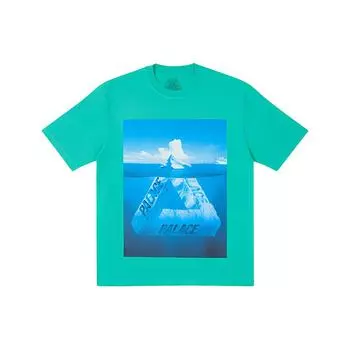 Футболка Palace Berg-Ferg Aqua унисекс уличная P21TS184 S