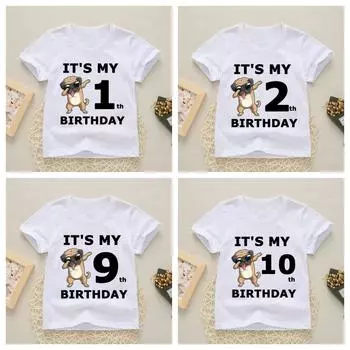 Футболка с буквенным принтом для маленьких детей, забавная футболка с надписью «С Днем Рождения» для девочек и мальчиков, одежда для собак, летняя милая футболка с короткими рукавами 2T(90)