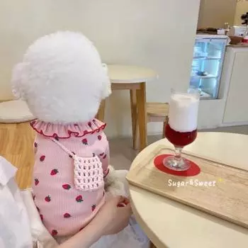 Футболка с клубникой для собак, хлопковый летний жилет для собак, футболка с изображением кошки, щенка, одежда для маленьких собак, чихуахуа, майка для собак, костюм для девочек XS