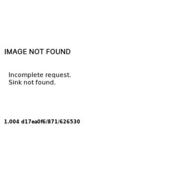 Футболка с принтом HM натуральный белый кролик