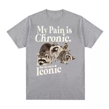 Футболка с забавным енотом и милым мемом Harajuku 90-х годов Y2k, графические футболки для мужчин и женщин, высококачественная хлопковая футболка с рукавами большого размера S чёрный