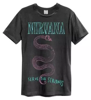 Футболка унисекс Nirvana Serve The Servants Amp S