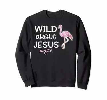 Футболка Wild About Jesus Толстовка с изображением фламинго для учителя воскресной школы чёрный