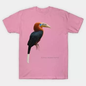 Футболка женщины с рыжей шеей птица-носорог детальная иллюстрация птицы Harajuku Печать Кавайи футболка Летний короткий рукав женская футболка Top Tee S