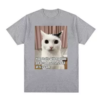 Футболки с рисунком «Your Balls Will Explode Funny Cat Meme» для мужчин и женщин, повседневная модная футболка с коротким рукавом, футболки большого размера из 100% хлопка S чёрный