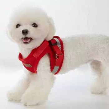 G&B Mizpet Night Light Светоотражающая безопасная шлейка для собак + поводок, красный