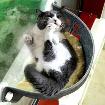 Гамак на окне для кошек с прочными присосками, подвесная спальная кровать для домашних животных, теплая клетка для хорьков, полка для кошек, сиденье-кровать чёрный