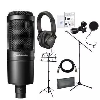гарантия микрофон микрофон и стерео Audio-Technica AT-2020 (в комплект входит кабель, подставка, наушники)