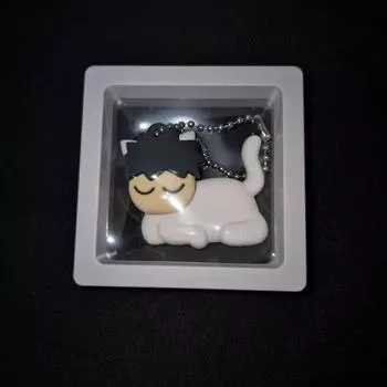 Garbage Time Scene Stealer Key Ring Heo Chang Hyun Unopened