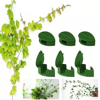 Garden Holder Supporting Self Adhesive Vines Traction Cable Clamp Wall Fixture Plant Climbing Clips 50Pcs