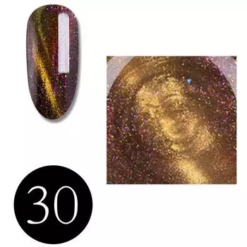 Гель-лак для ногтей «Кошачий глаз» + черный лак для ногтей УФ-светодиодный гель-лак полуперманентный 16 мл 8ml