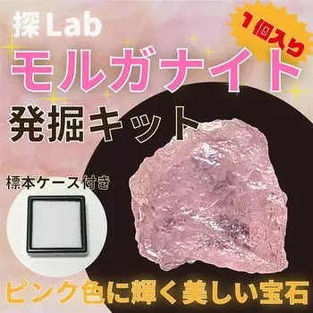 gem that shines in Morganite excavation kit with specimen case [Beautiful pink]